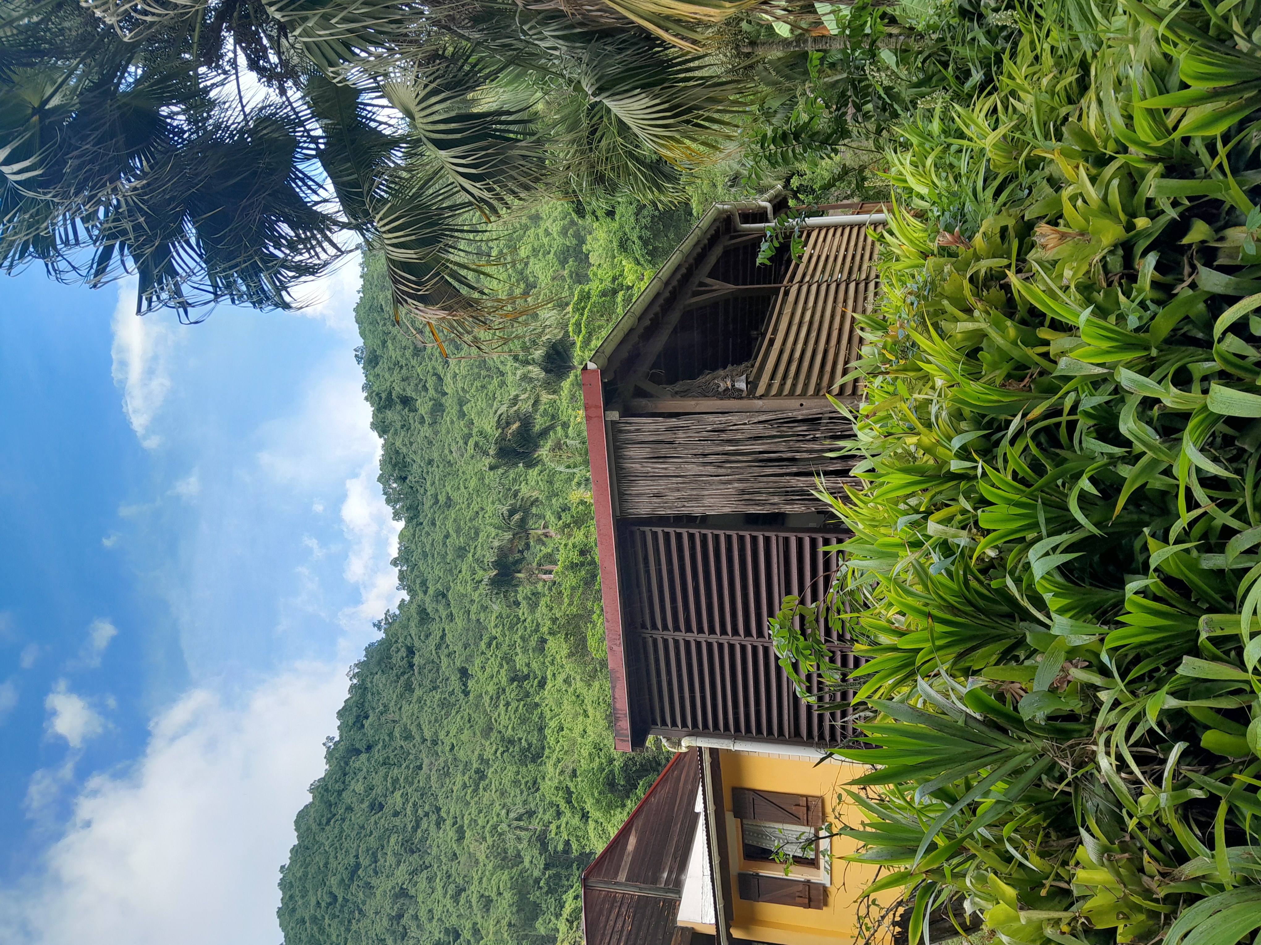 Nature autour du gîte