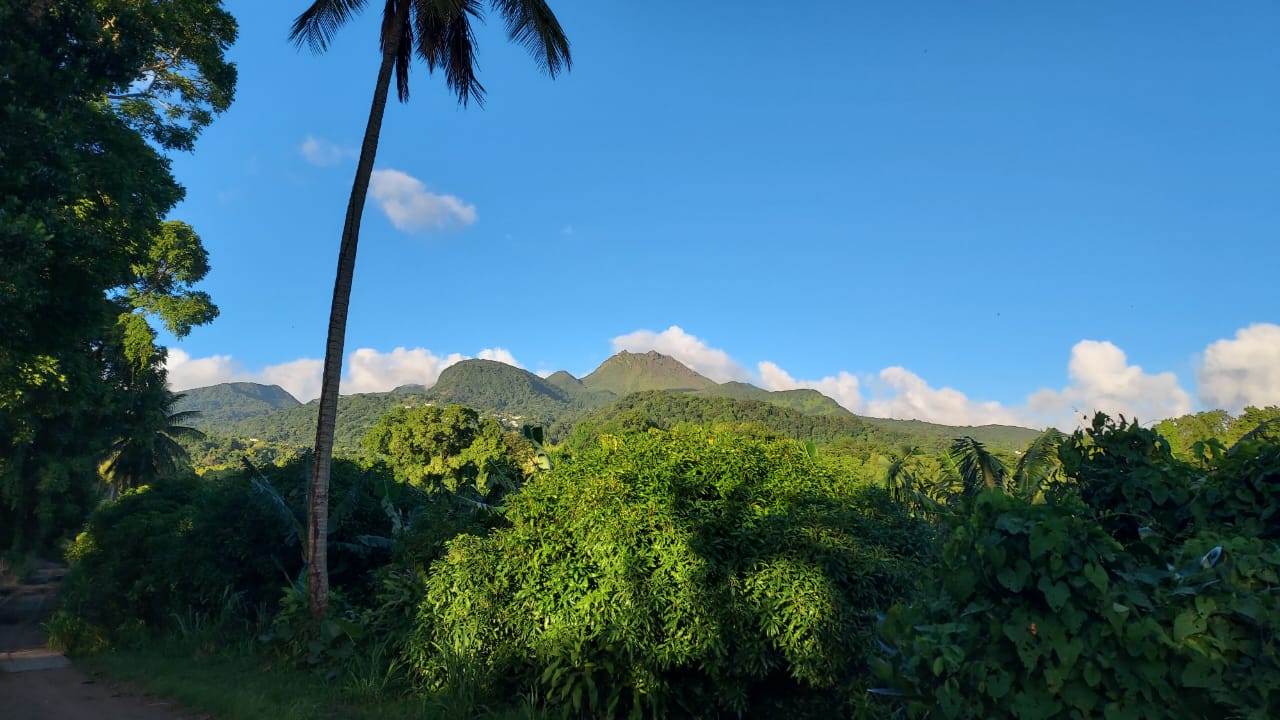Randonnée dans la forêt tropicale de Guadeloupe